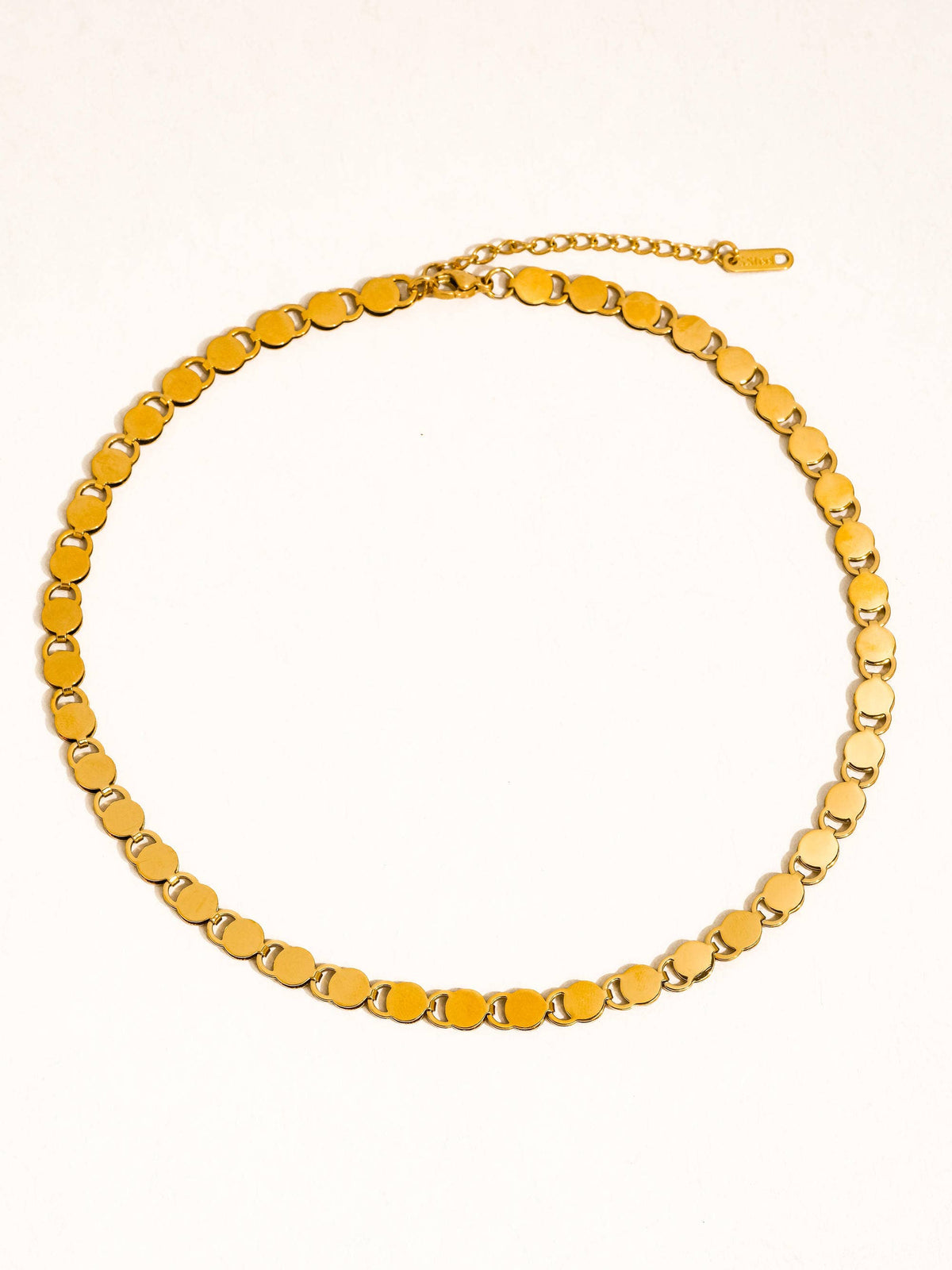 The Disc Link Necklace