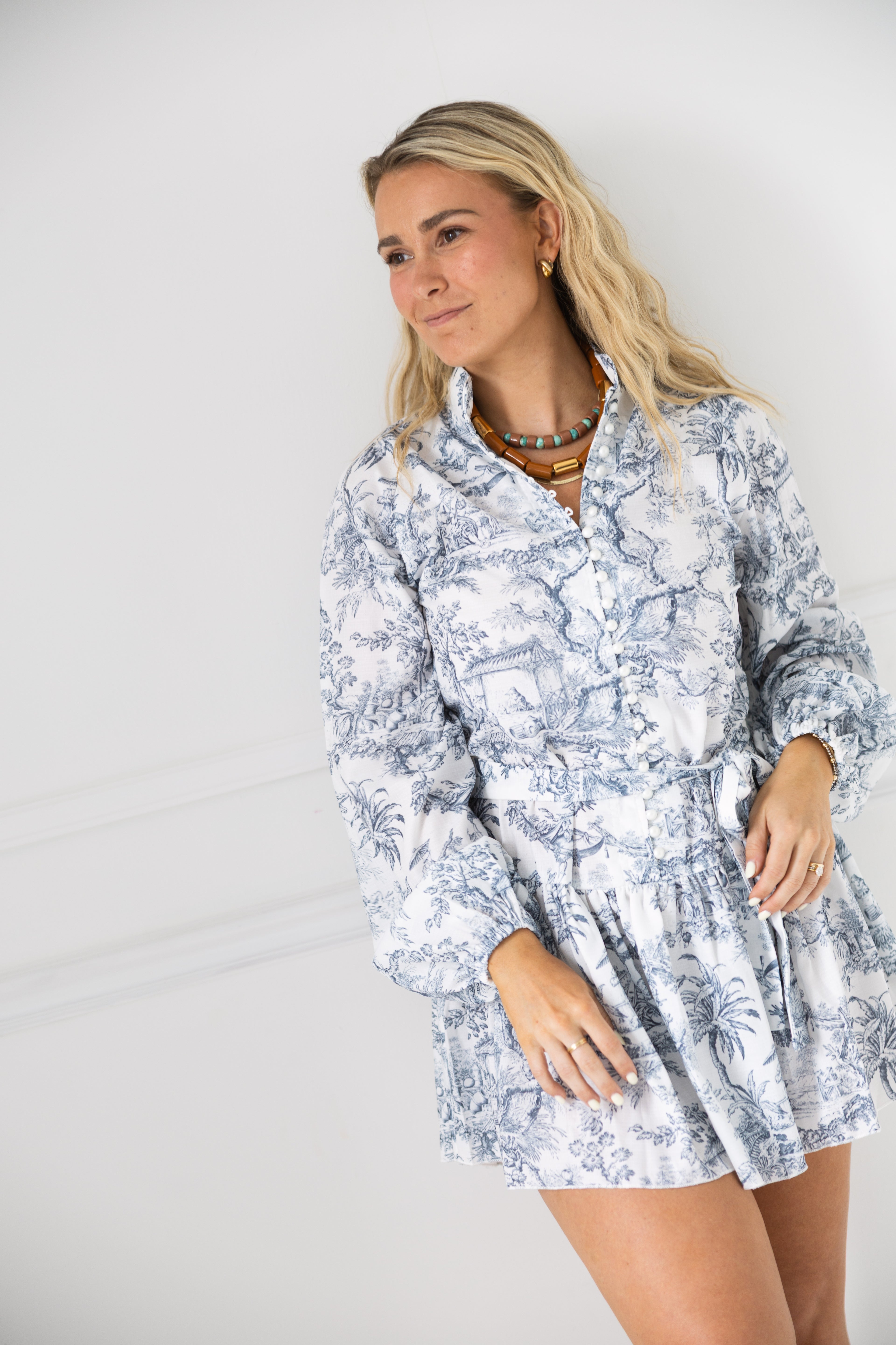Toile Vintage Dress